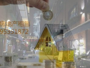 打造餐饮文化教育生活服务一体化精品社区商业街，上海商铺转让新机遇