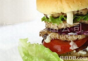 恒福行食品公司 引领素食与天然材料餐饮服务新潮流